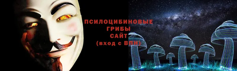 Псилоцибиновые грибы MAGIC MUSHROOMS  как найти наркотики  Купино 